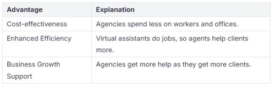 Insurance Virtual Assistants