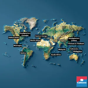 Callnovo Contact Center's round-about CX outsourcing solutions are offered at 16+ global operations centers, with operations active in over 250 countries - all to the extent that superb customer engagement can be offered on a global level to build businesses' growth & success by leaps-and-bounds. If you'd be interested, please connect with Callnovo today to ask about their top-quality service solutions.