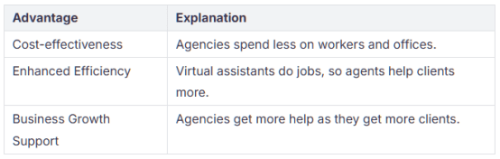 Insurance Virtual Assistants